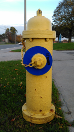 8" Fire Hydrant Ring for 2.5" Nozzle H.I. Blue