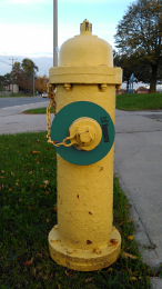 8" Fire Hydrant Ring for 2.5" Nozzle H.I. Green