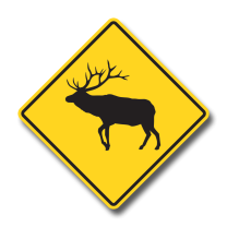 WC-33 Elk Crossing