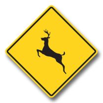 WC-11 Deer Crossing