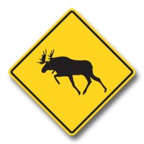 WC-12 Moose Crossing