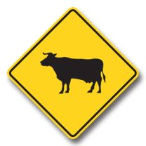 WC-9 Cattle Crossing