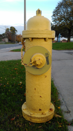 8" Fire Hydrant Ring for 2.5" Nozzle H.I. Yellow